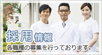 採用情報